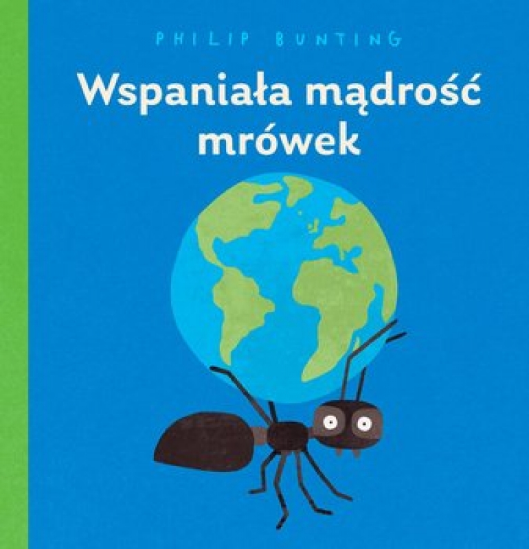 Czego możemy się nauczyć od mrówek?