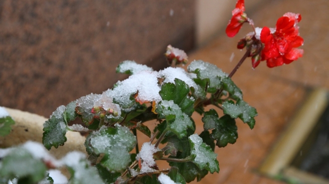 Pierwszy śnieg już za kilka dni?