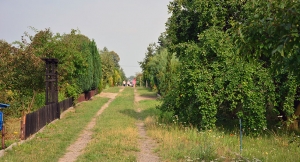 Będzie kasa dla działkowców