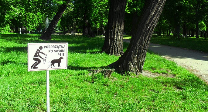 Porządek to rzecz święta