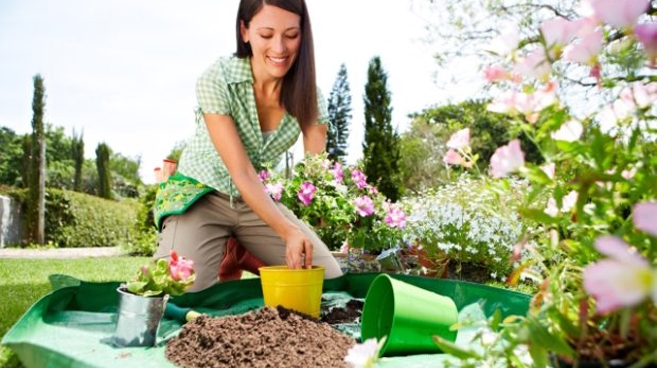 Kwiaty piel na kolanach, nigdy kucając