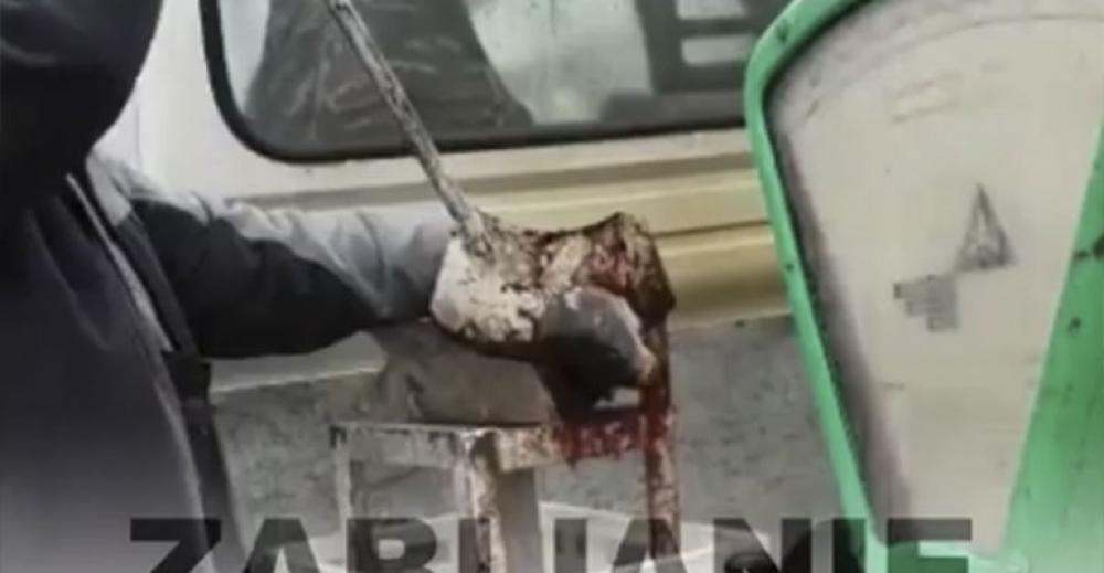 Gilotyną zabijał karpie