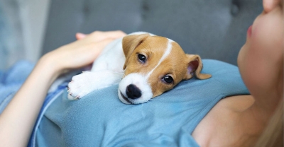 Miłość do pupila nie ma terminu ważności