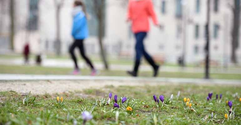 Czapki z głów, palta do szafy!