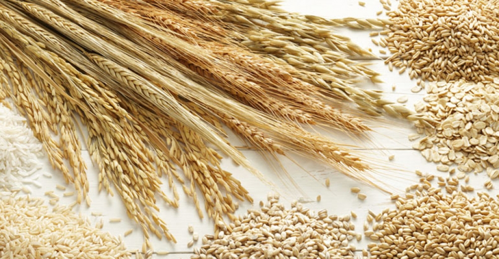 Cała prawda o glutenie