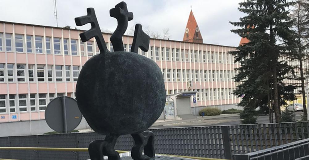 Dwanaście ostrowskich jabłuszek