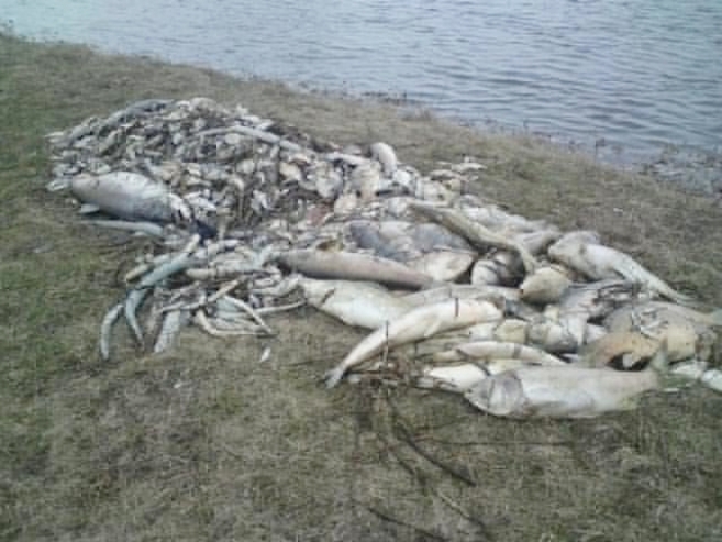 Długołęka, marzec 2010