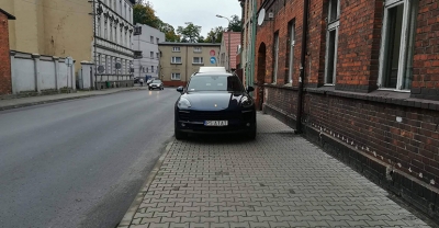 Mistrz parkowania 102