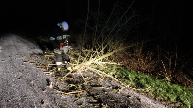 Ksawery daje się we znaki