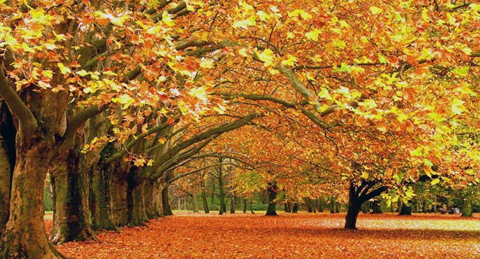 Hurra!!! Koniec deszczu