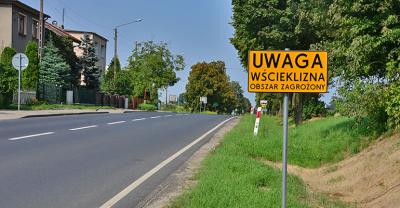 W Krotoszynie stwierdzono wściekliznę!