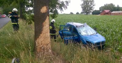 Wylądował w polu[gallery]