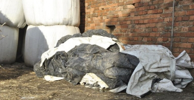 Co mamy robić z foliami po kiszonkach?