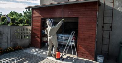 Usuwali groźne owady