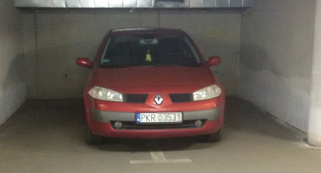 Mistrz parkowania 29