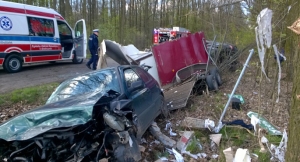 Kobieta wymusiła pierwszeństwo[gallery]