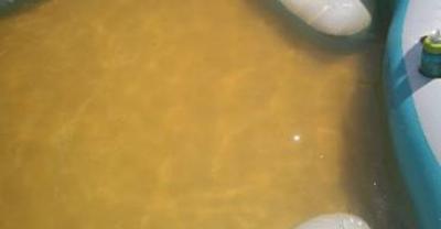 Problem wody w Koźminie