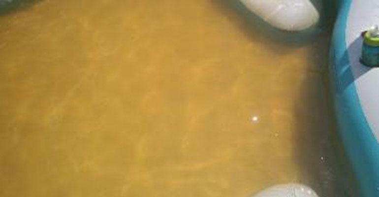 Problem wody w Koźminie