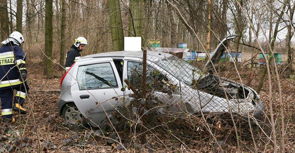 Puntem wjechał w płot