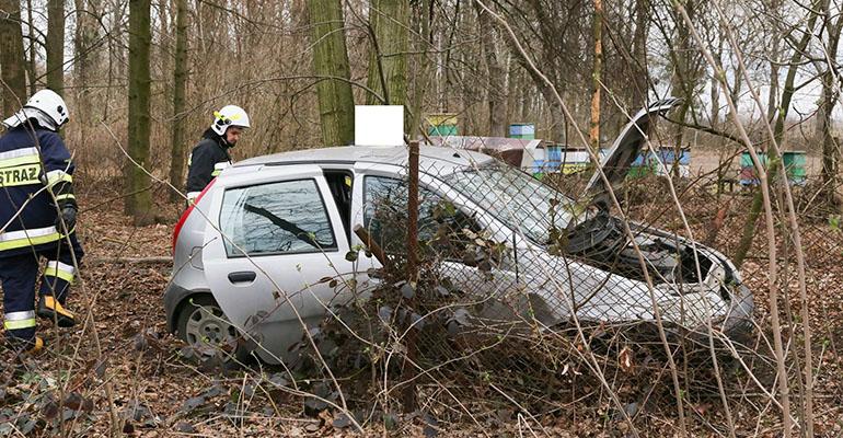 Puntem wjechał w płot
