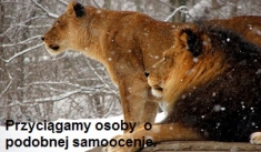 Jak przyciągnąć wartościowych ludzi?