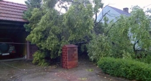 Ponad 200 strażaków w akcji[gallery]