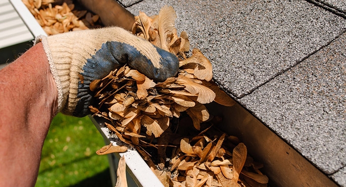 Nim spadną liście i chwyci mróz