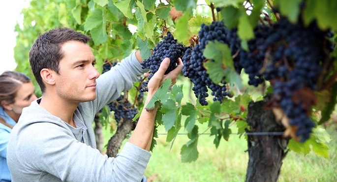 Teraz jest dobry moment szukania zatrudnienia