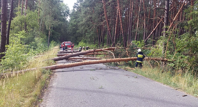 Pracowita sobota strażaków