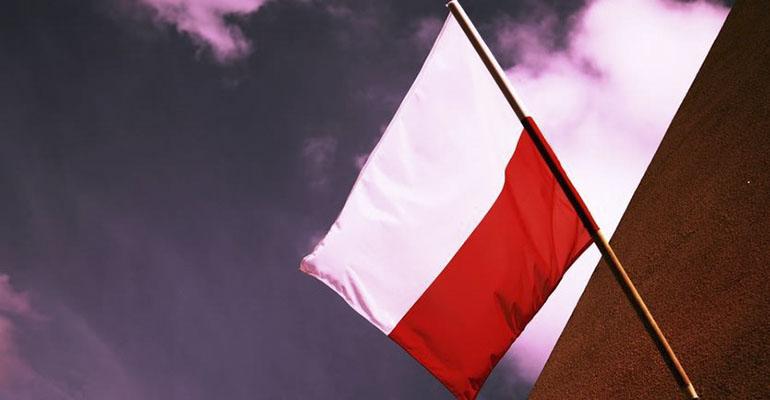 Debatowali nad obchodami święta 11 Listopada