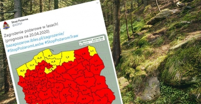 W lasach wielkie zagrożenie pożarowe!