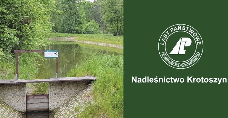 Retencja w krotoszyńskich lasach