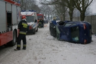 Osobówką w drzewo [gallery]