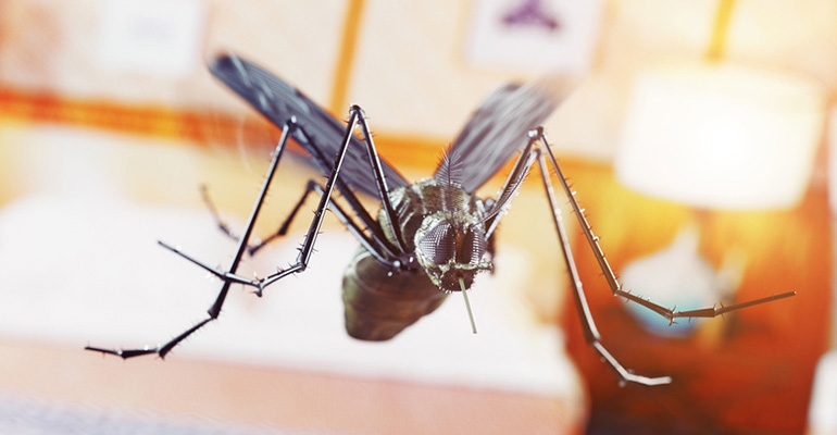 Pachnąca broń na komary