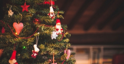 Z protestanckich Niemiec