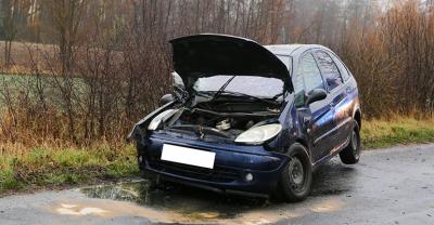 Uderzyła w drzewo[gallery]