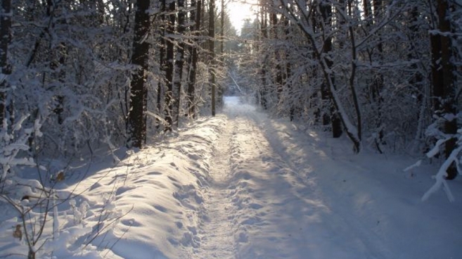 Oby śniegu nie zabrakło