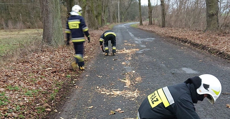 Silne wiatry przeszły nad powiatem