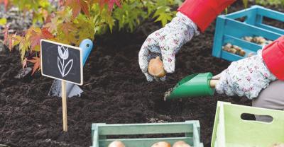 Wiosenny kalendarz sadzenia