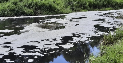 Rzeka Barycz jest zatruta