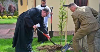 Posadzili drzewa na stulecie niepodległości[gallery][wideo]