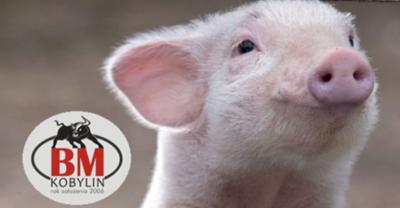 W firmie BM Kobylin wciąż wiele problemów