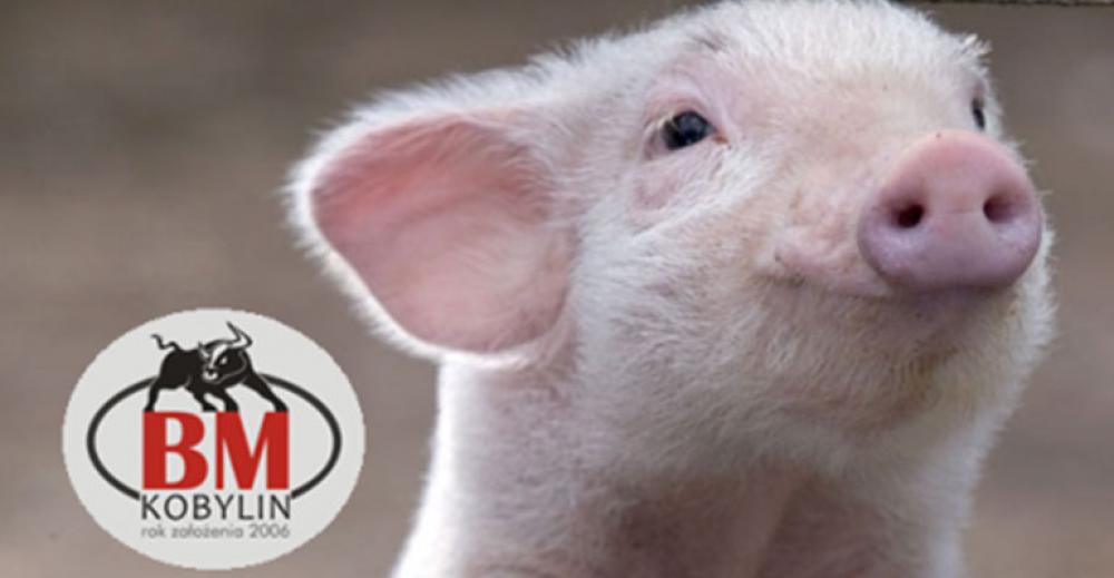 W firmie BM Kobylin wciąż wiele problemów