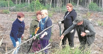 Członkowie „ósemki” posadzili 950 sadzonek drzew