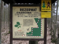 Szlaki rowerowe laureatem