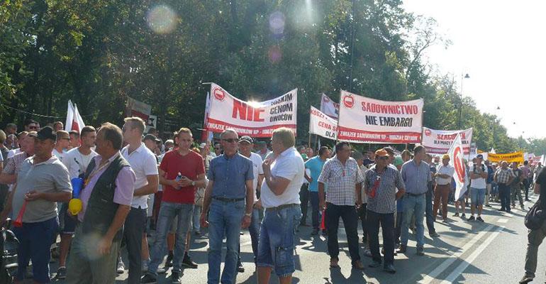 Protest producentów owoców miękkich