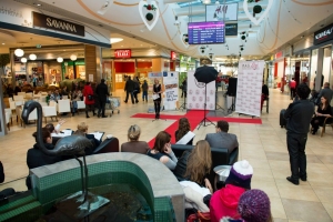 Czwarty casting na Miss Wielkopolski 2013