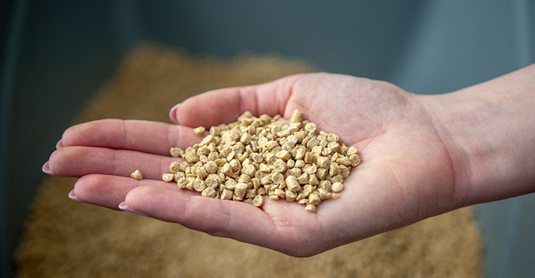 Dla kogo żwirek drewniany