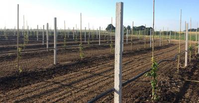 Nadszedł czas siewu