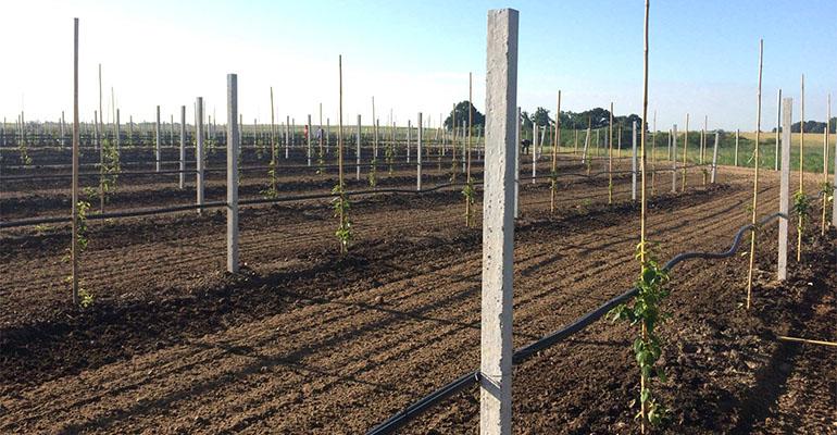 Nadszedł czas siewu